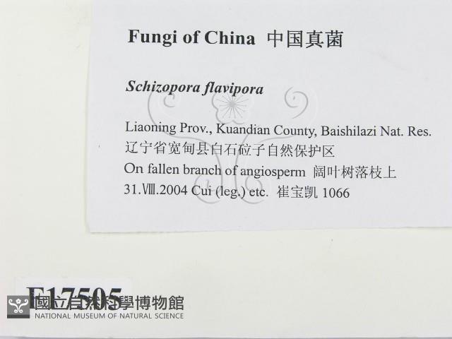 登錄號:F0017505藏品圖，第2張