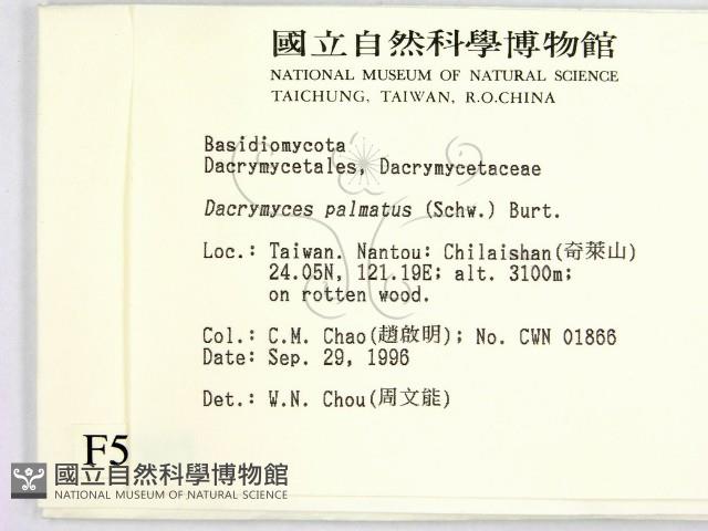 登錄號:F0005505藏品圖，第2張