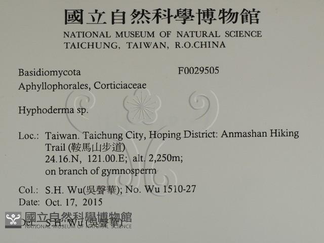 絲皮菌屬藏品圖，第2張