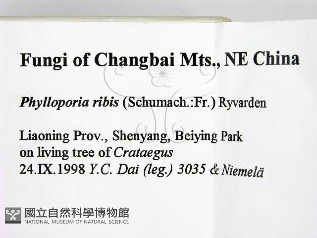 登錄號:F0009505藏品圖，第2張