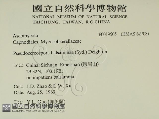 登錄號:F0019505藏品圖，第2張