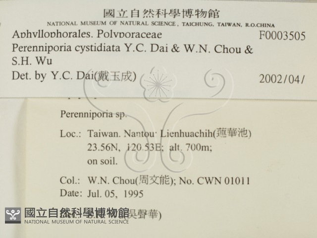 登錄號:F0003505藏品圖，第2張
