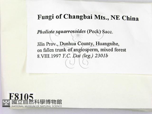 登錄號:F0008105藏品圖，第2張