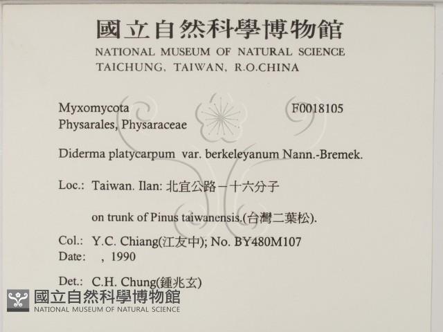 登錄號:F0018105藏品圖，第2張