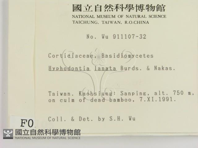 登錄號:F0000105藏品圖，第2張