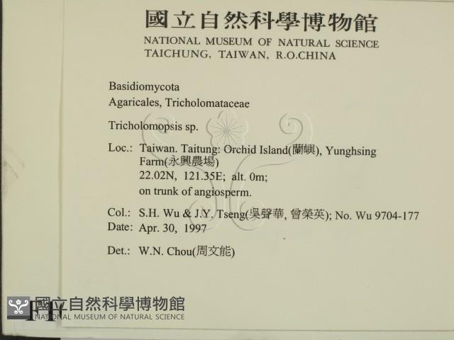 登錄號:F0010105藏品圖，第2張