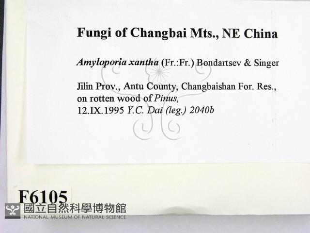 登錄號:F0006105藏品圖，第2張