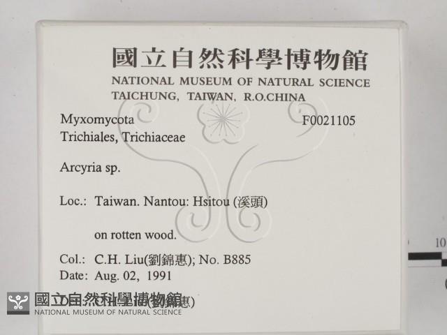 登錄號:F0021105藏品圖，第2張