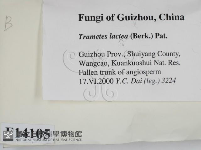 登錄號:F0014105藏品圖，第2張