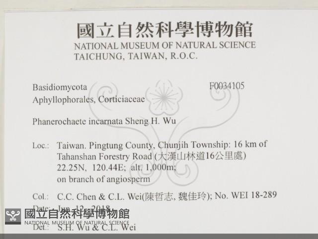 Accession Number:F0034105 Collection Image, Figure 2, Total 2 Figures