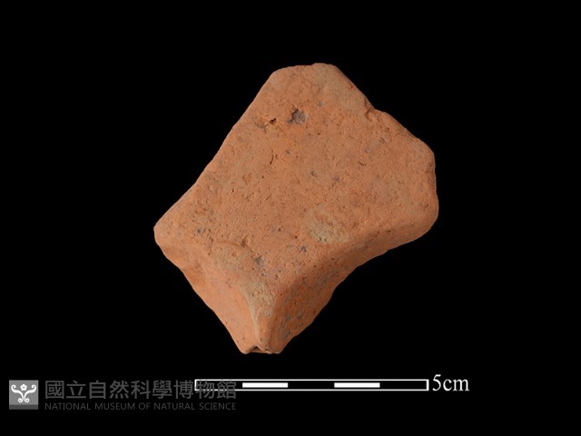 連杯形器藏品圖，第2張