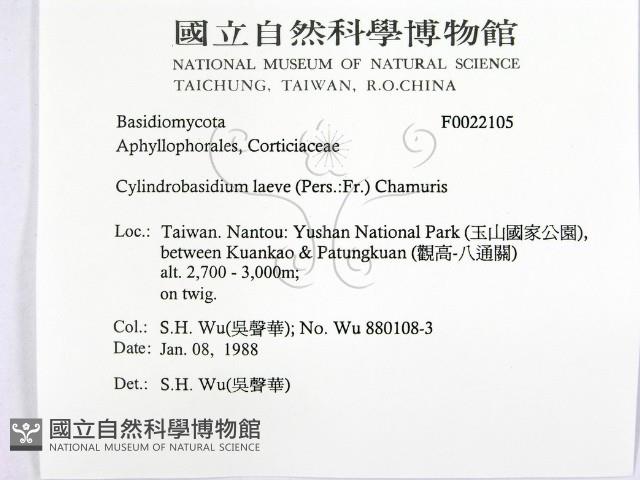 登錄號:F0022105藏品圖，第2張