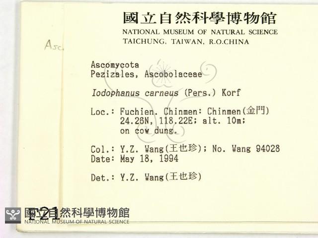 登錄號:F0002105藏品圖，第2張