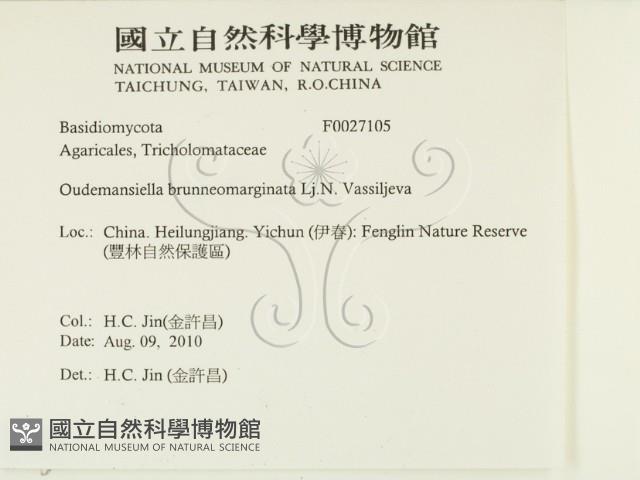 登錄號:F0027105藏品圖，第2張