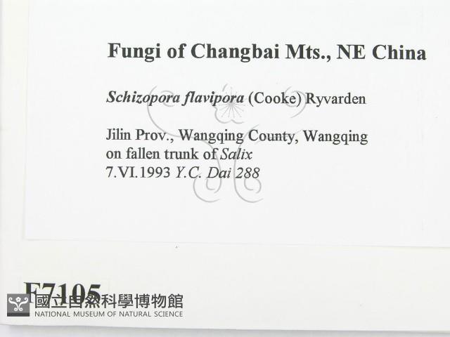 登錄號:F0007105藏品圖，第2張