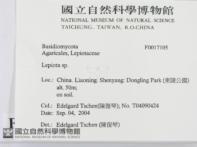 登錄號:F0017105藏品圖，第2張
