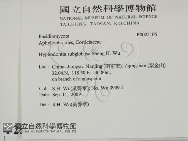 登錄號:F0025105藏品圖，第2張