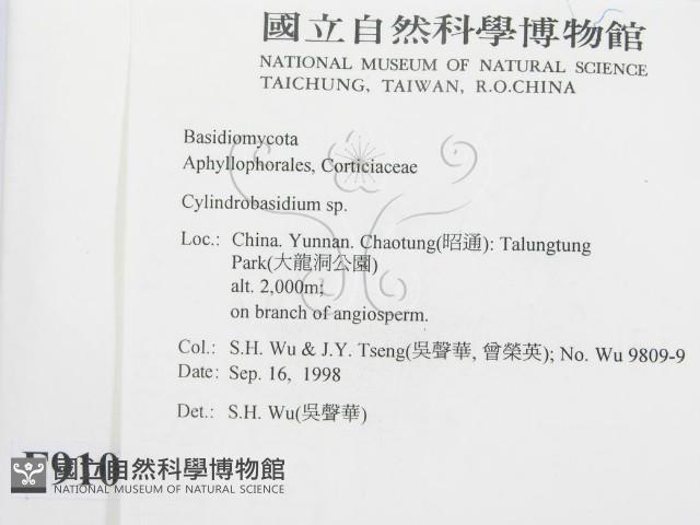 柱擔菌屬藏品圖，第2張