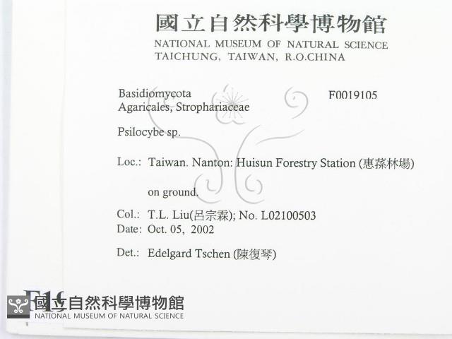 登錄號:F0019105藏品圖，第2張