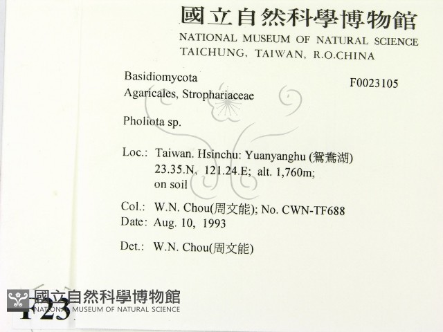 登錄號:F0023105藏品圖，第2張