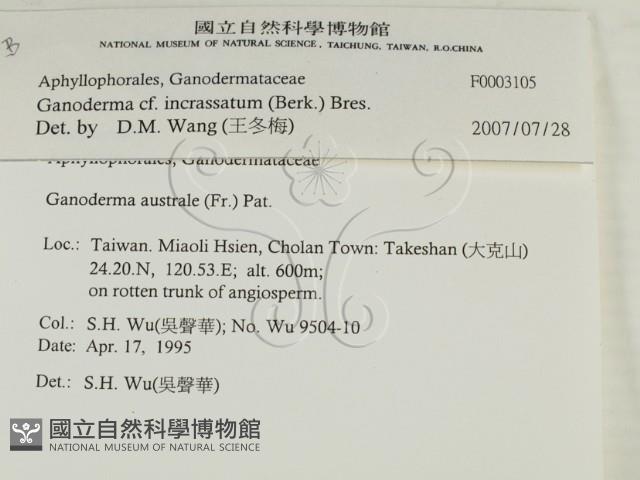 登錄號:F0003105藏品圖，第2張