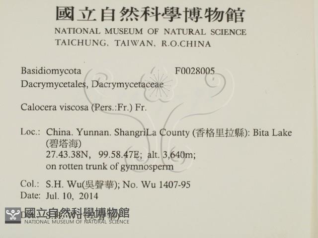 登錄號:F0028005藏品圖，第2張