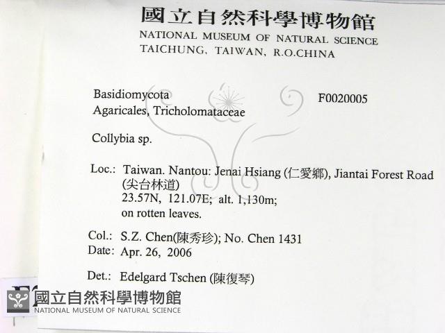 登錄號:F0020005藏品圖，第2張