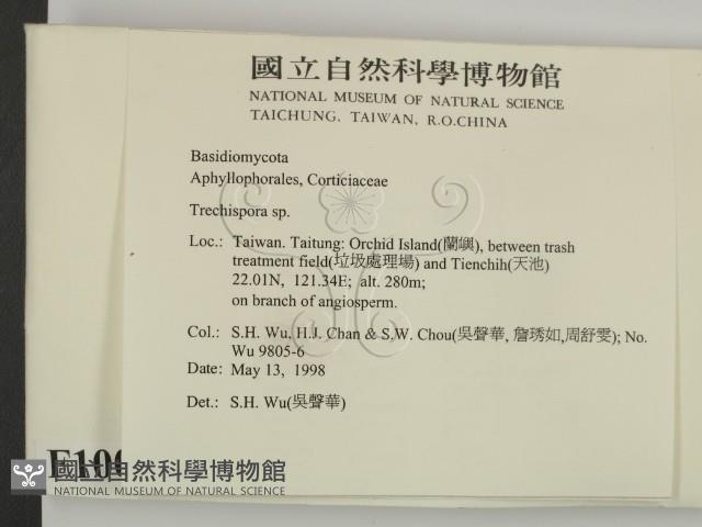 登錄號:F0010005藏品圖，第2張
