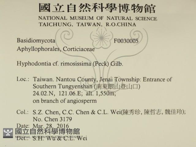 登錄號:F0030005藏品圖，第2張