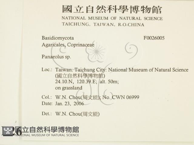 登錄號:F0026005藏品圖，第2張