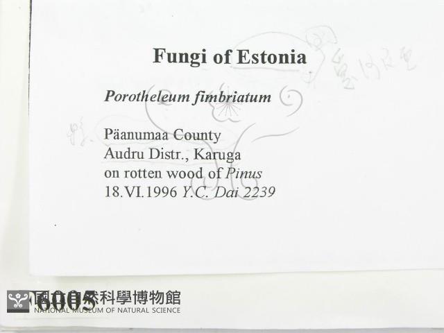 登錄號:F0006005藏品圖，第2張