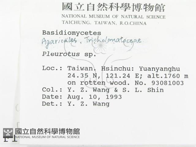登錄號:F0001005藏品圖，第2張