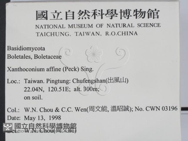 登錄號:F0011005藏品圖，第2張