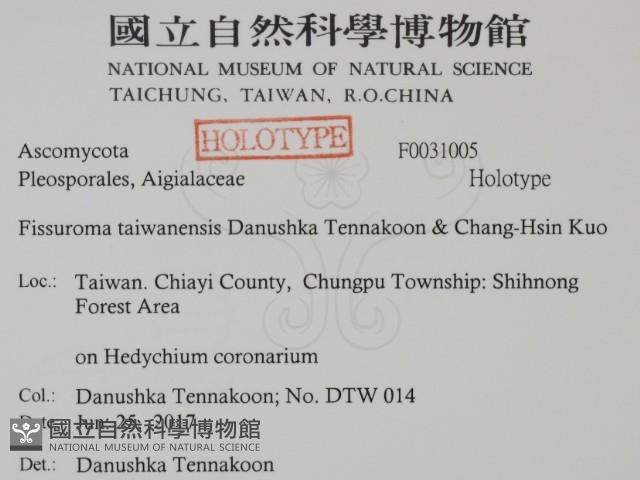 登錄號:F0031005藏品圖，第2張