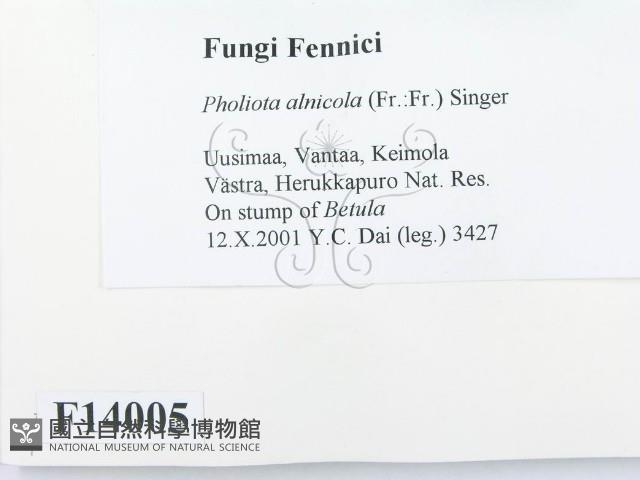 登錄號:F0014005藏品圖，第2張