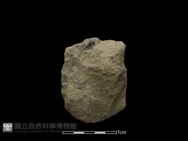 斧鋤形器藏品圖，第1張
