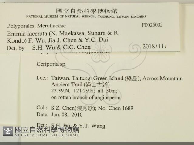 登錄號:F0025005藏品圖，第2張