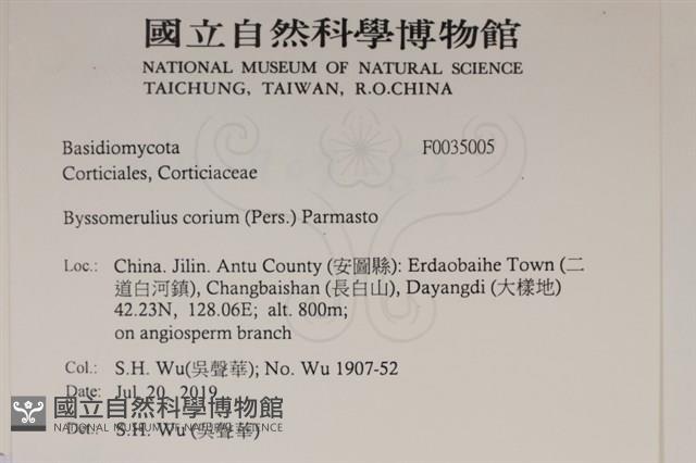 登錄號:F0035005藏品圖，第2張