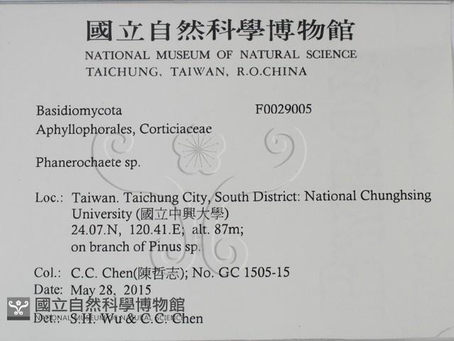 登錄號:F0029005藏品圖，第2張