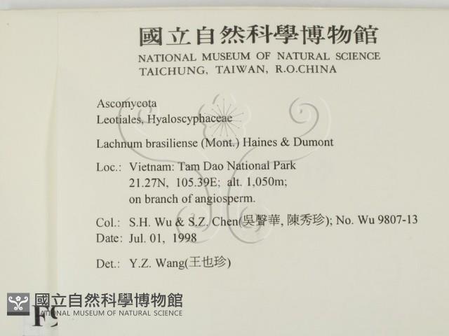 登錄號:F0009005藏品圖，第2張