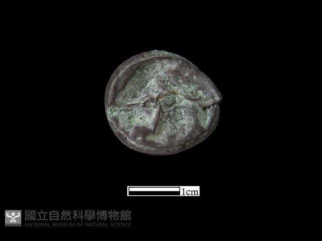 銅鈴藏品圖，第2張