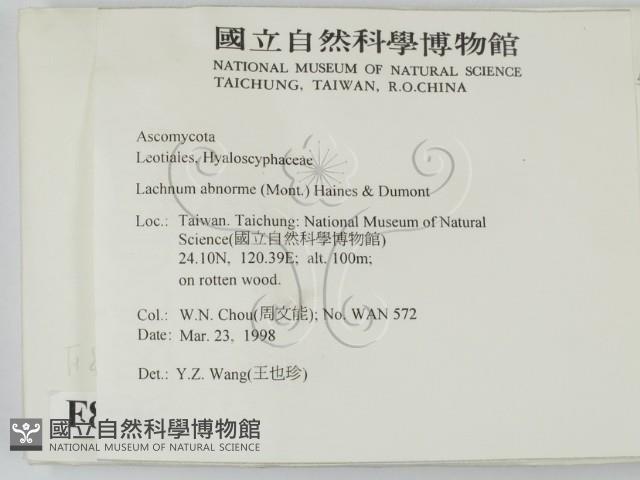 登錄號:F0008305藏品圖，第2張