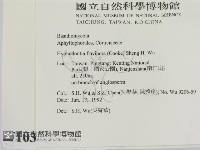 登錄號:F0010305藏品圖，第2張