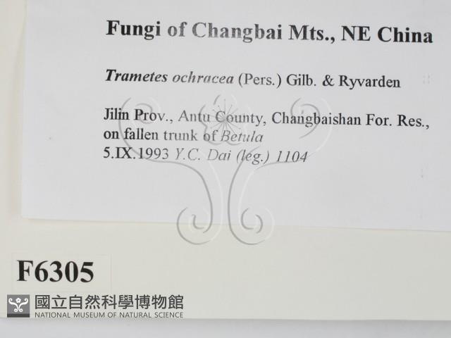 登錄號:F0006305藏品圖，第2張