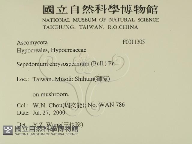 登錄號:F0011305藏品圖，第2張