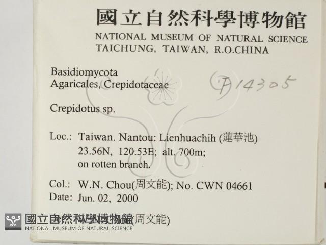 登錄號:F0014305藏品圖，第2張