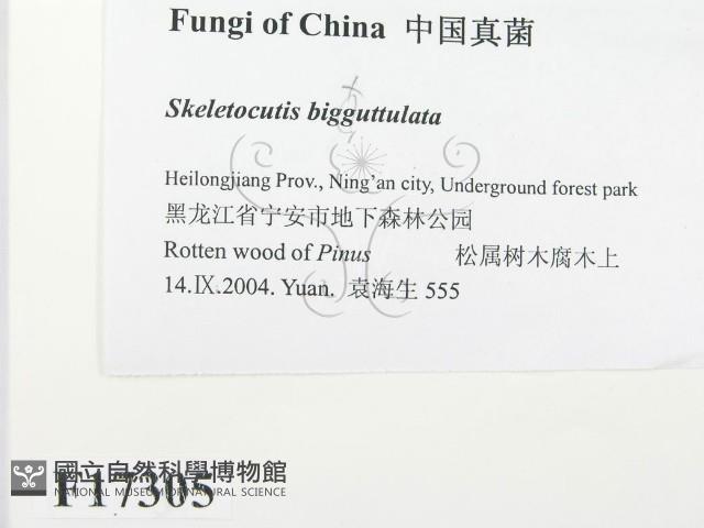登錄號:F0017305藏品圖，第2張