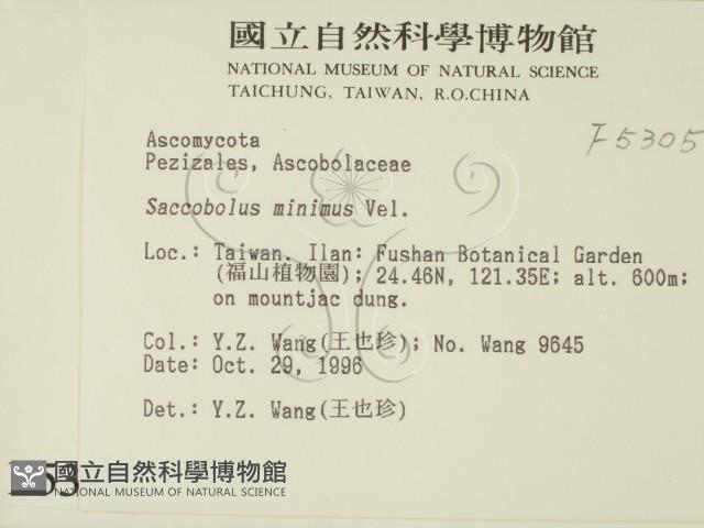 登錄號:F0005305藏品圖，第2張