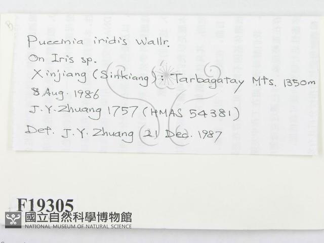 登錄號:F0019305藏品圖，第2張