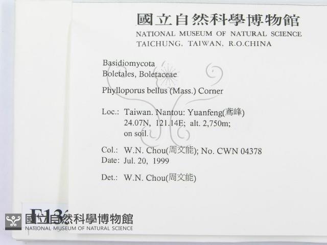 登錄號:F0013305藏品圖，第2張